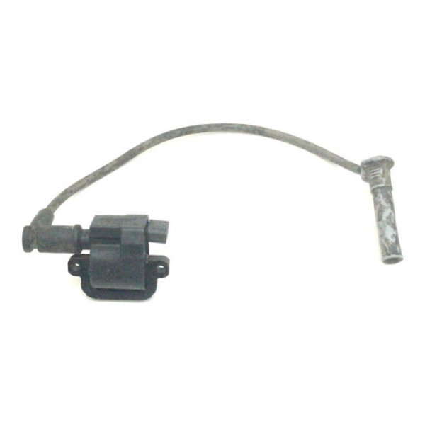 Bobina Ignição C/cabo Discovery3 4.0 V6 Gasol 2006 A 2009