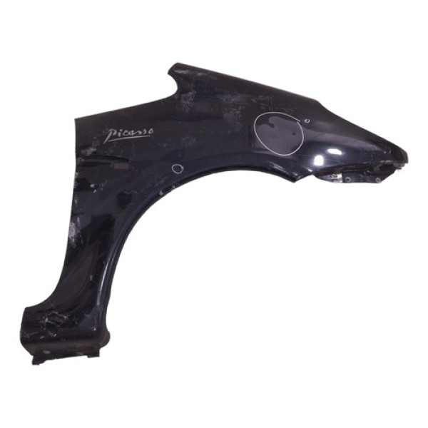 Paralama Direito Citroën  Xsara Picasso 2001 2002 A 2007