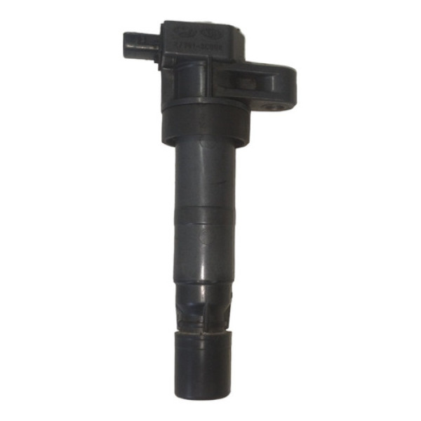 Bobina De Ignição Hyundai Vera Cruz 3.8 V6 2007 2008 A 2011