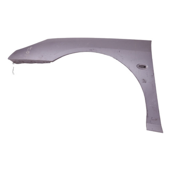 Paralama Esquerdo Peugeot  407 2004 2005 2006 A 2010