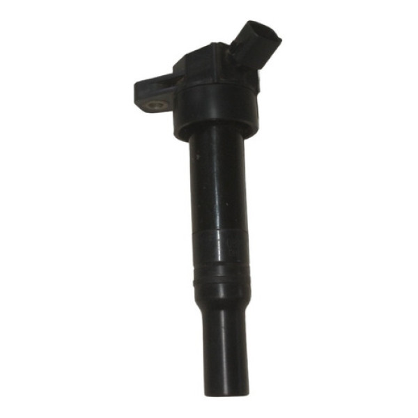 Bobina De Ignição Hyundai Elantra 2.0 2012 2013 2014 A 2018