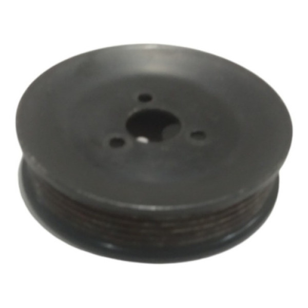Polia Bomba Água Ford Ecosport 1.0 8v 2003 Até 2007 Usado
