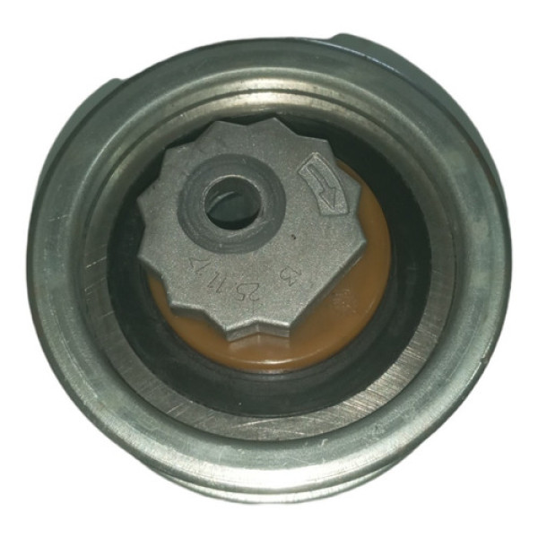 Rolamento Tensor Correia Vw Golf 1.4 2013 A 2018 13251117